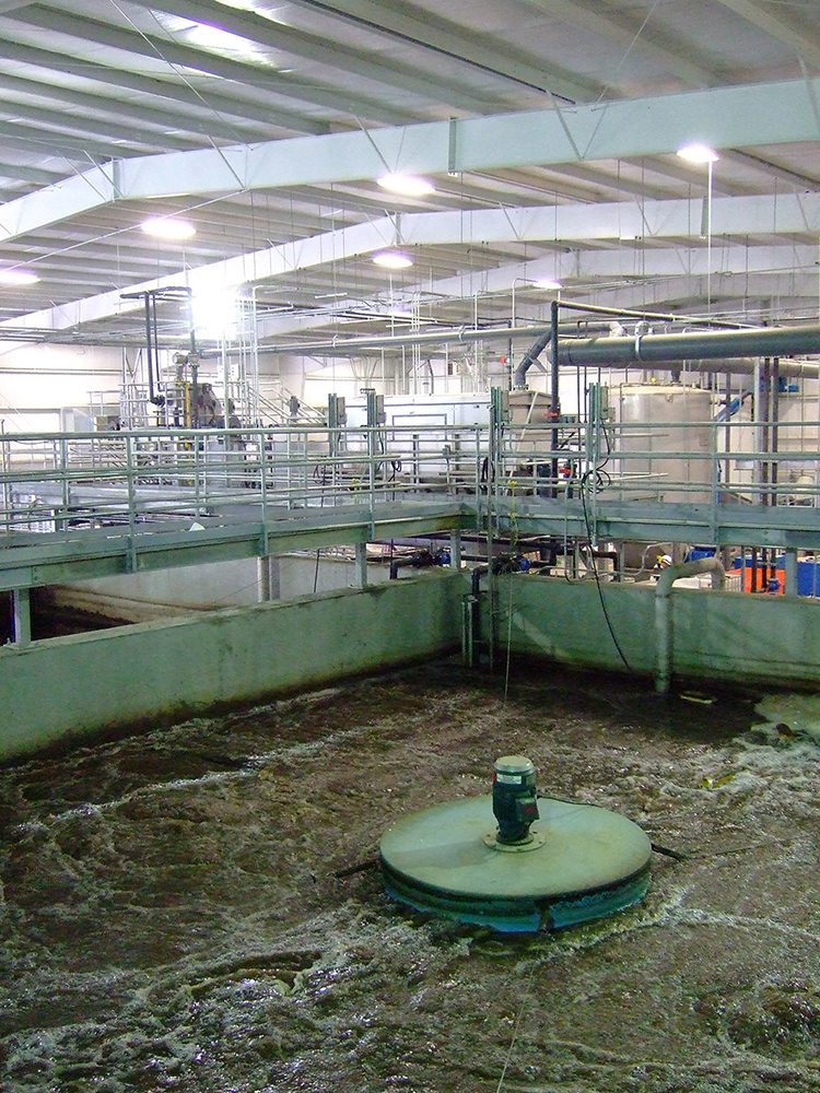 Biological Treatment